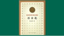 统编版高中语文必修上册精品课件：3.1《百合花》
