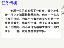 统编版高中语文必修上册课件：4.3《“探界者”钟扬》