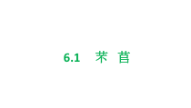 统编版高中语文必修上册精品课件：6.1《芣苢》