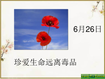 第1课《鸦片战争》PPT课件3（共31页）-八年级上册历史部编人教版