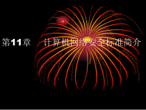 计算机网络安全标准简介课件
