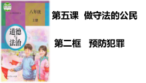 《预防犯罪》PPT课件2-统编版八年级上册道德与法治