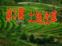 第3课《土地改革》PPT课件7-八年级下册历史部编人教版