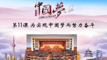 第11课《为实现中国梦而努力奋斗》PPT课件1-八年级下册历史部编人教版