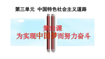 第11课《为实现中国梦而努力奋斗》PPT课件12-八年级下册历史部编人教版