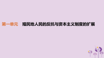 第一单元《殖民地人民的反抗与资本主义制度的扩展》复习课件1-九年级历史下册部编人教版