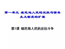 第1课《殖民地人民的反抗斗争》PPT课件3-九年级下册历史部编人教版