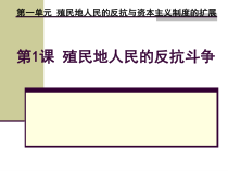 第1课《殖民地人民的反抗斗争》PPT课件5-九年级下册历史部编人教版