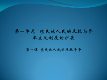 第1课《殖民地人民的反抗斗争》PPT课件8-九年级下册历史部编人教版
