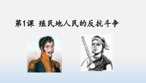 第1课《殖民地人民的反抗斗争》PPT课件11-九年级下册历史部编人教版