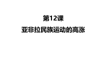 第12课《亚非拉民族民主运动的高涨》PPT课件10-九年级下册历史部编人教版