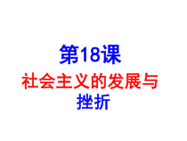 第18课《社会主义的发展与挫折》PPT课件7-九年级下册历史部编人教版