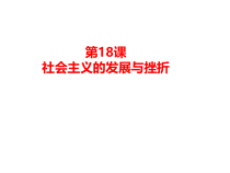 第18课《社会主义的发展与挫折》PPT课件8-九年级下册历史部编人教版