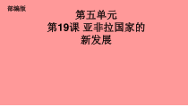 第19课《亚非拉国家的新发展》PPT课件7-九年级下册历史部编人教版