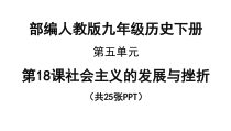 18《社会主义的发展与挫折》公开课PPT课件-九年级下册历史部编人教版
