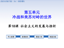 18《社会主义的发展与挫折》教学课件-九年级下册历史部编人教版