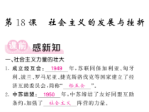 18《社会主义的发展与挫折》集体备课PPT课件-九年级下册历史部编人教版