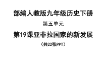 19《亚非拉国家的新发展》公开课PPT课件-九年级下册历史部编人教版