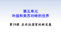 19《亚非拉国家的新发展》集体备课PPT课件-九年级下册历史部编人教版