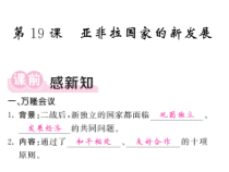 19《亚非拉国家的新发展》说课PPT课件-九年级下册历史部编人教版