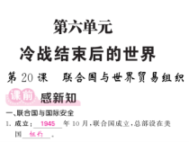 20《联合国与世界贸易组织》公开课PPT课件-九年级下册历史部编人教版
