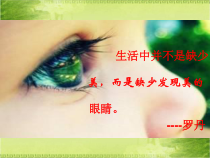 《（参考课题2）色彩的对比与调和》PPT课件1-六年级美术上册沪少版