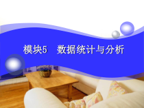 计算机应用基础项目5+数据统计与分析(0219)课件