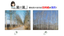 《（参考课题1）远近的奥秘》PPT课件4(1)-七年级美术上册沪少版