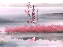 《第1课 插花》PPT课件2-八年级美术下册人教版