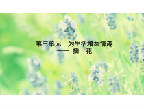 《第1课 插花》PPT课件3-八年级美术下册人教版