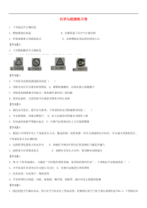 中考化学重要知识点《化学与能源》练习卷(含答案)