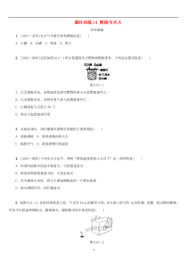 中考化学复习课时训练14燃烧与灭火练习（含答案）