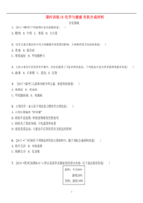中考化学复习课时训练16化学与降有机合成材料练习（含答案）