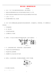 中考化学复习课时训练2碳和碳的氧化物练习（含答案）