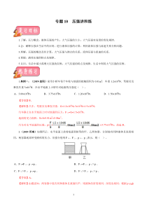 专题10 压强-2020年中考物理一轮复习讲练（解析版）