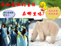《9.5 极地地区──冰封雪裹的世界》PPT课件2-晋教版地理七年级下册