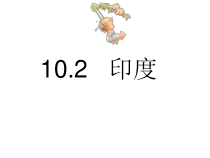 《10.2 印度──世界第二人口大国》PPT课件3-晋教版地理七年级下册