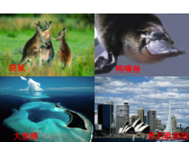 《10.3 澳大利亚──大洋洲面积最大的国家》PPT课件3-晋教版地理七年级下册