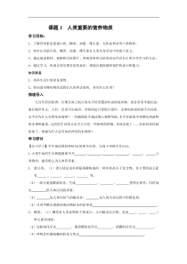 【人教版】九年级化学下册：全册配套学案设计（18份打包，可预览）