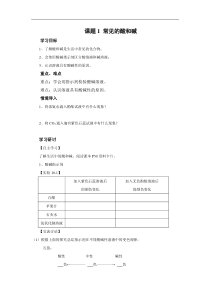 人教版九年级化学下册学案：第10单元课题1  常见的酸和碱