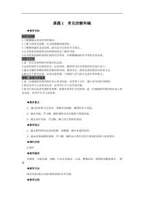 人教版九年级化学下册教案：第10单元课题1  常见的酸和碱