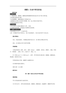 人教版九年级化学下册教案：第11单元课题1  生活中常见的盐