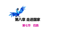 《10.7 巴西──南美洲面积最大的国家》PPT课件5-晋教版地理七年级下册