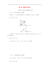 浙教版九年级数学下册第1章解直角三角形专题训练求锐角三角函数的方法归类