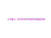 高考生物一轮复习课件：必修1 小专题三 光合作用和呼吸作用题型突破(含答案)