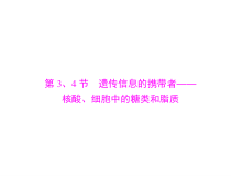 高考生物一轮复习课件：必修1 第2章 第3、4节 遗传信息的携带者--核酸、细胞中的糖类和脂质(含答案)