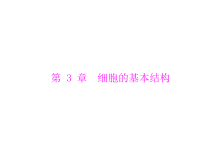 高考生物一轮复习课件：必修1 第3章 第1、3节 细胞膜--系统的边界、细胞核--系统的控制中心(含答案)