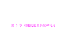 高考生物一轮复习课件：必修1 第5章 第1、2节 降低化学反应活化能的酶、细胞的能量“通货”--TP(含答案)