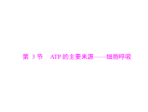 高考生物一轮复习课件：必修1 第5章 第3节 ATP 的主要来源--细胞呼吸(含答案)