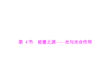 高考生物一轮复习课件：必修1 第5章 第4节 能量之源--光与光合作用(含答案)